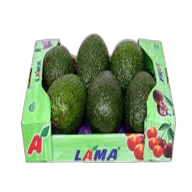 Avocatua Small Box