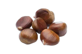 كاستانيا الصغيرة