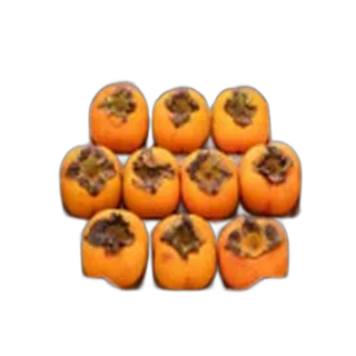 كاكا اس/بوكس لبناني