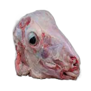 Kuwait Lamb Head Large Pieces
