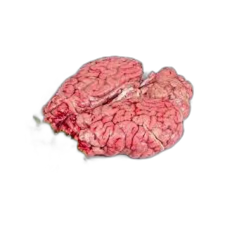 دماغ لحم ضأن