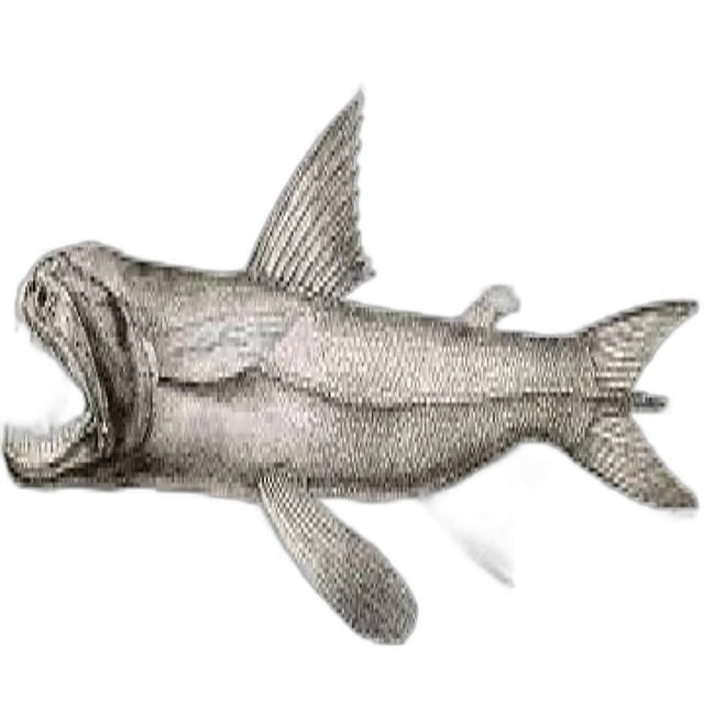 Bomby Duck Fish