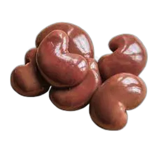 Lamb Kidney Child Aus