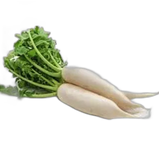 White Radish Piece