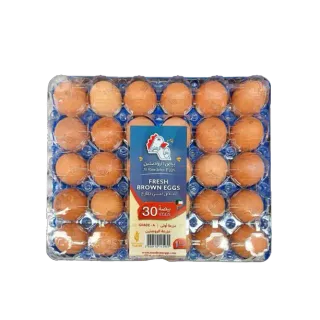Al Rawdeten Brown Egg Plastic Tray 50/60 30 Pack