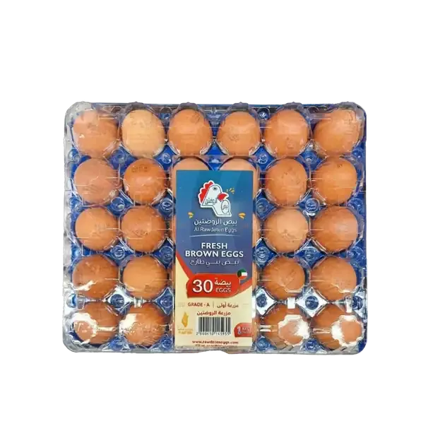 Al Rawdeten Brown Egg Plastic Tray 50/60 30 Pack
