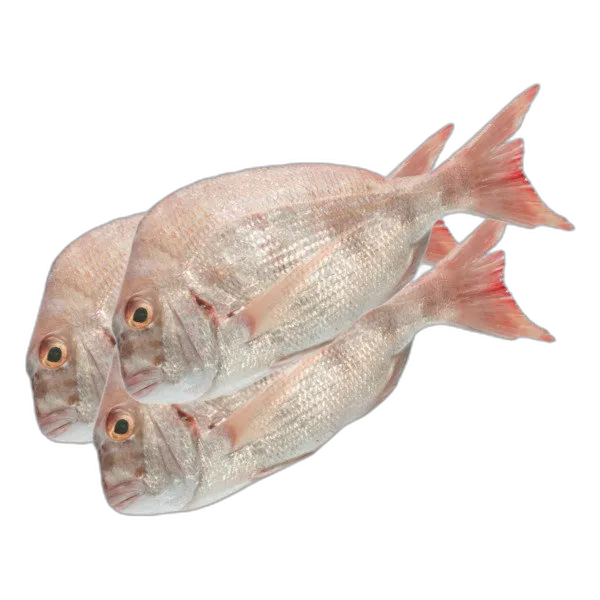 Andhak