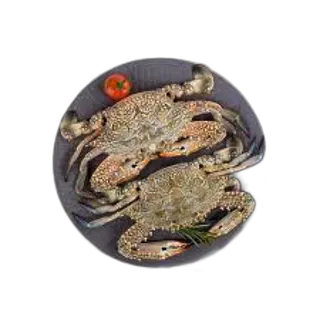 Crab Lady Big Qatar per kg