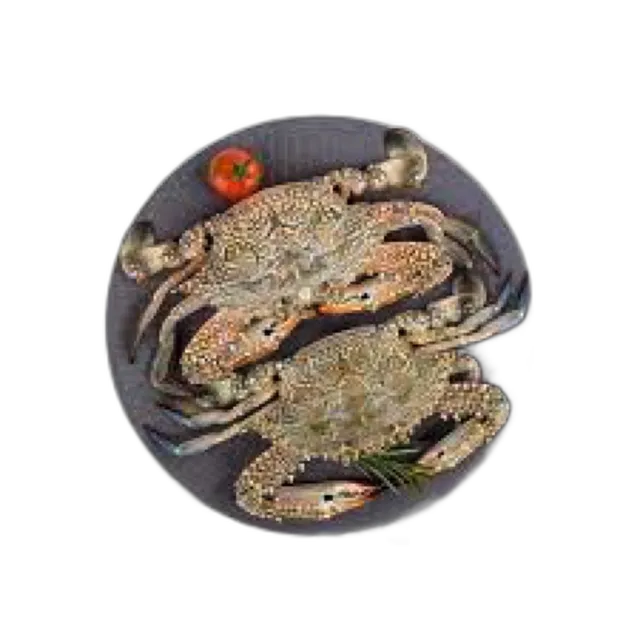 Crab Lady Big Qatar per kg