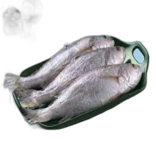 Kora Cuttla per kg