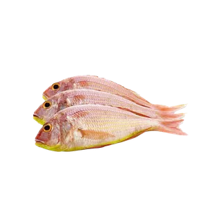 سمك سلطان ابراهيم قطر صغير للكيلو