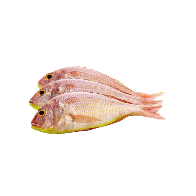 سمك سلطان ابراهيم قطر صغير للكيلو