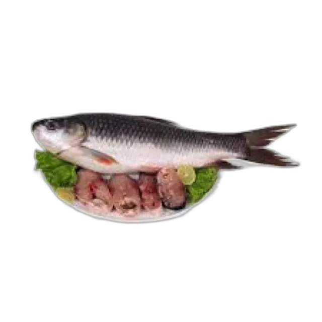 Egyptian Rohu (Fresh)