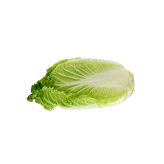 ملفوف صيني 1 كجم