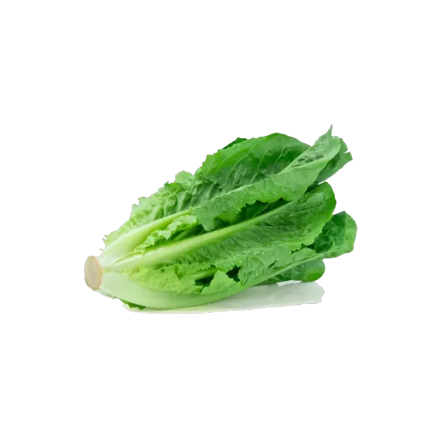 Jordanian Lettuce, 1kg