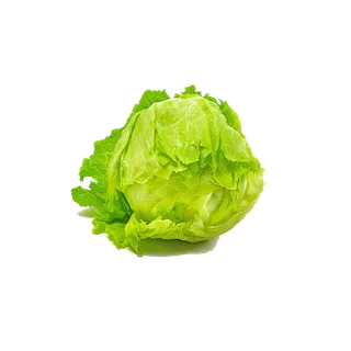 Kuwaiti Lettuce Iceberg, 1kg