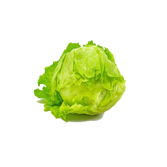 Kuwaiti Lettuce Iceberg, 1kg