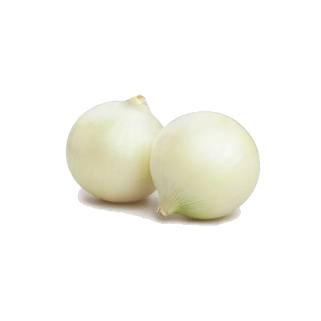 White Onion Spain