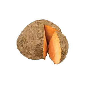 قلقاس (سوران) الهند 1 كجم