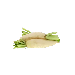 فجل أبيض كويتي 500 جم