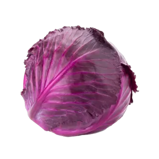 ملفوف أحمر سعودي 1 كجم