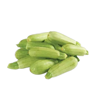 كوسة (كوسا) أردني 500 جم