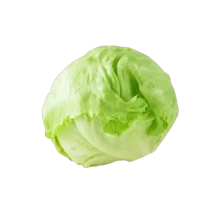 Jordanian Lettuce Iceberg, 1kg