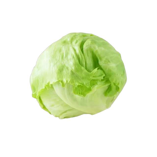 Jordanian Lettuce Iceberg, 1kg