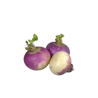 لفت أبيض سعودي 1 كجم