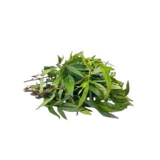 Gongru (Roselle) Leaves - Bunch