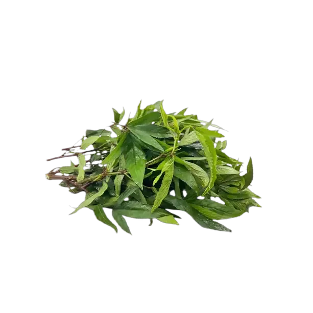 Gongru (Roselle) Leaves - Bunch
