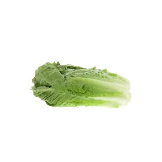 Kuwaiti Lettuce Romaine, 1kg