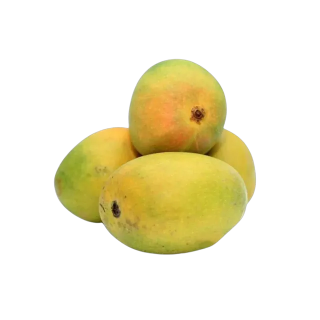 Indian Mango Alphonso, 1kg