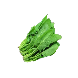 Green Spinach - Bunch