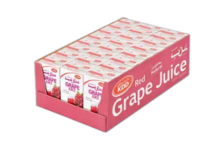 عصير كي دي دي التوت البري 24 x 250 مل