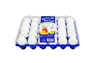 BO Ali Kuwaiti White Egg Tray ( Plastic) 30 Pack