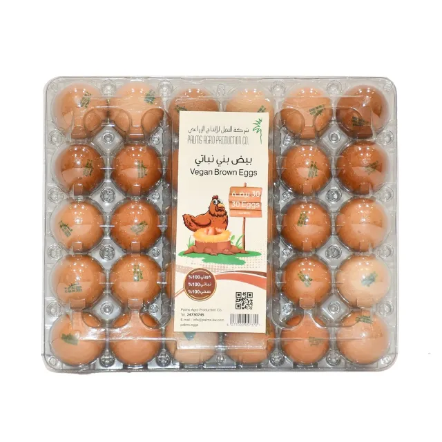 Palms Agro Brown Vegan Eggs 10 Pieces 60/70 Plastic Tray