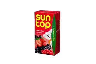 Sun Berry Mix Juice, 125ml