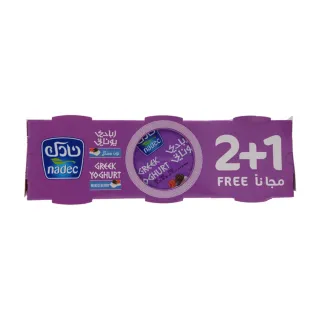 Nadec Yogurt Mix Berry Greek 3 x, 160g