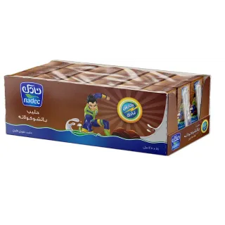 Nadec Chocolate Milk 18 x, 125ml