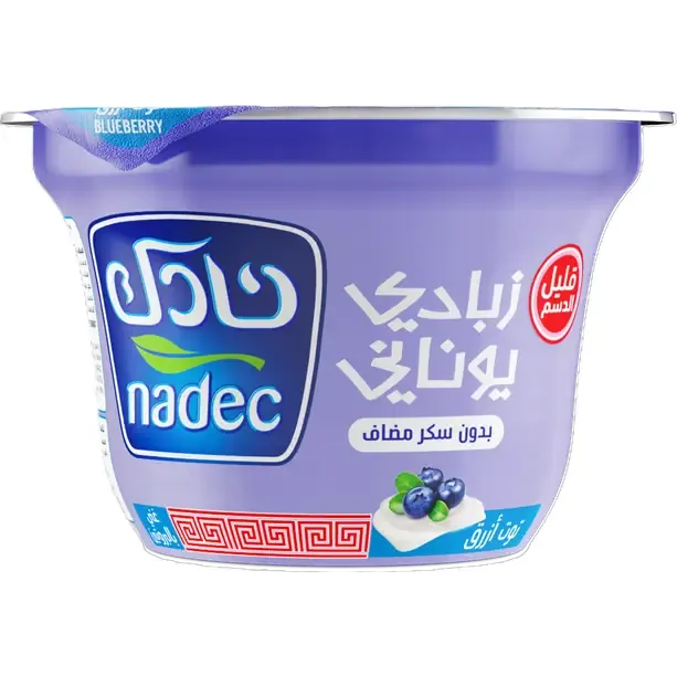 Nadec Yoghurt Blue Berry LF Greek, 160g