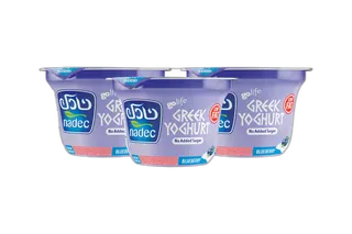 Nadec Yoghurt Blue Berry LF Greek 3 x, 160g