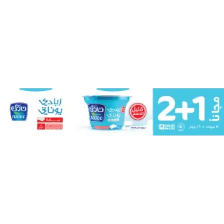 Nadec Yoghurt Plain Low Fat Greek 3 x, 160g