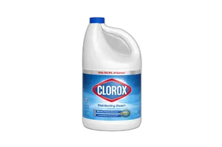 Clorox Regular