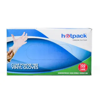 Hotpack Plastic Gloves LD Large 100 Pack