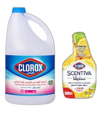 Clorox Bleach + Citrus Spray +, 500ml