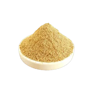 Coriander Powder, 500g