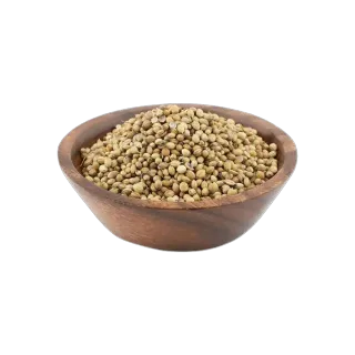 -20%Best SellerCoriander Whole, 250g