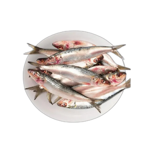 سمك سردين طازج كبير 1 كجم باكت
