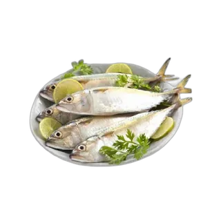 سمك ماكريل طازج صغير 1 كجم عبوة